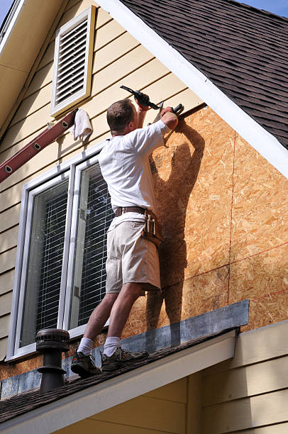 Trusted De Pue, IL Siding Experts